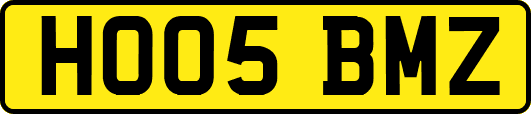 HO05BMZ