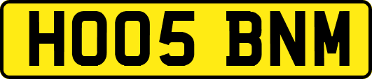 HO05BNM