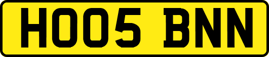 HO05BNN