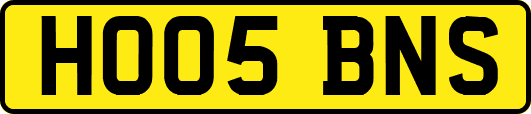 HO05BNS
