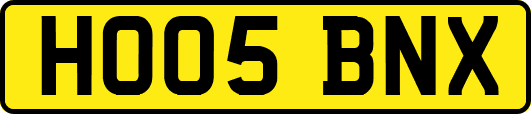 HO05BNX