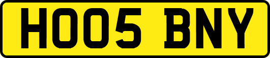 HO05BNY