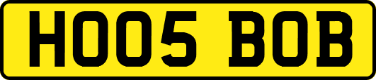 HO05BOB