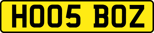 HO05BOZ