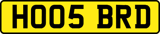 HO05BRD