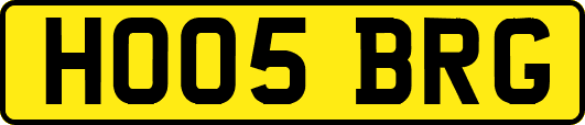HO05BRG