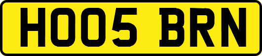 HO05BRN