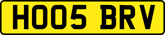 HO05BRV