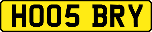 HO05BRY