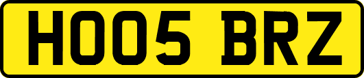 HO05BRZ