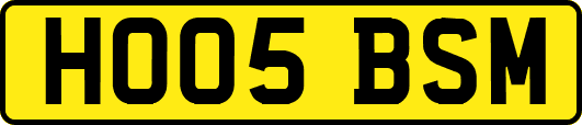 HO05BSM
