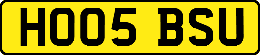 HO05BSU
