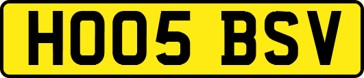 HO05BSV