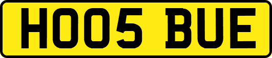 HO05BUE