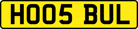 HO05BUL
