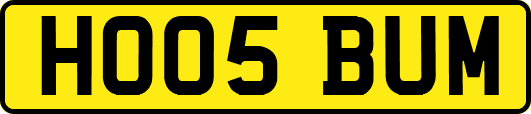 HO05BUM