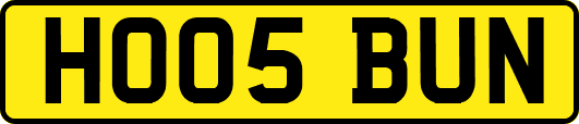 HO05BUN