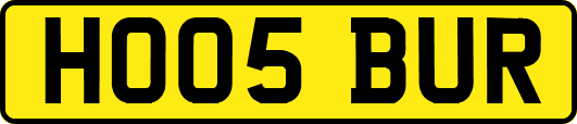 HO05BUR