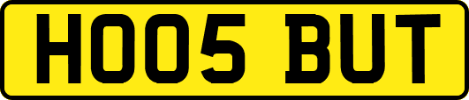HO05BUT