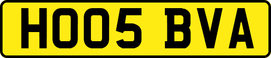 HO05BVA