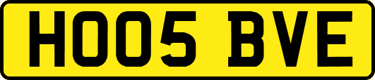 HO05BVE