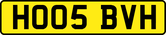HO05BVH