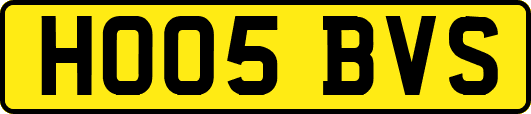HO05BVS