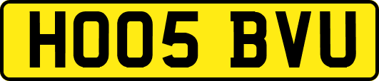 HO05BVU