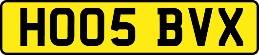 HO05BVX