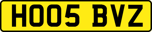 HO05BVZ