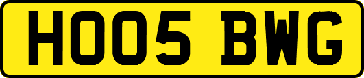 HO05BWG