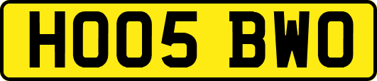 HO05BWO