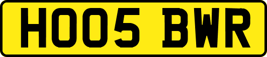 HO05BWR