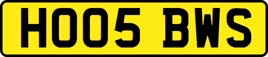 HO05BWS