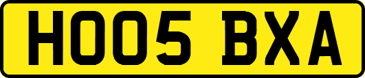 HO05BXA