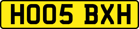 HO05BXH