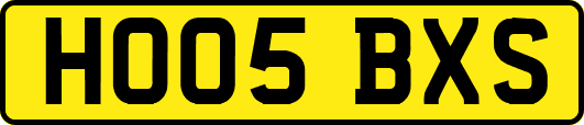 HO05BXS
