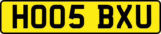 HO05BXU