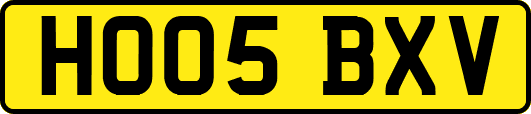 HO05BXV