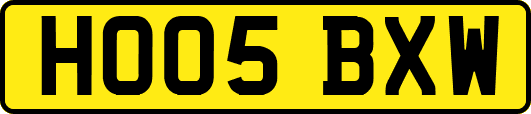 HO05BXW