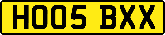 HO05BXX