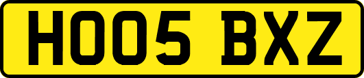 HO05BXZ
