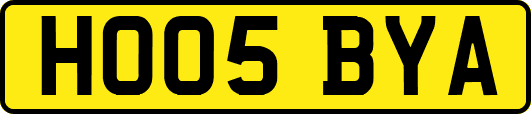 HO05BYA