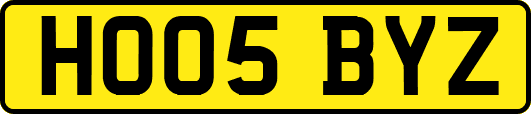 HO05BYZ