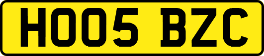 HO05BZC