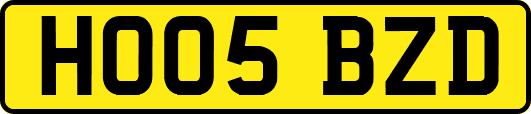HO05BZD