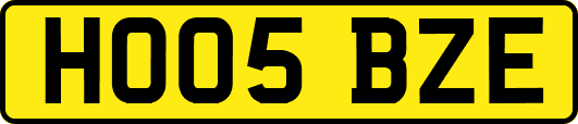 HO05BZE