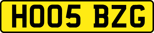 HO05BZG