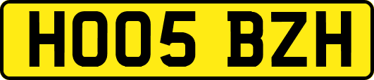 HO05BZH