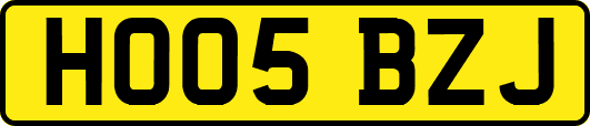 HO05BZJ